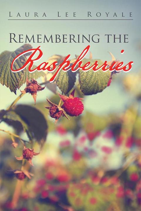 Cover image for book Remembering the Raspberries