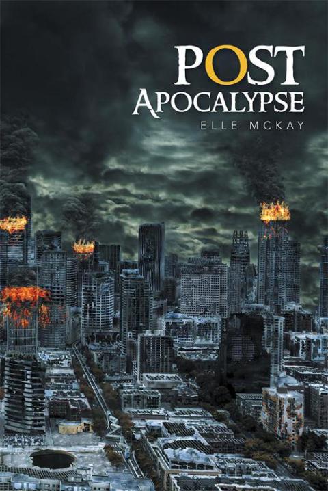 Cover image for book Post Apocalypse
