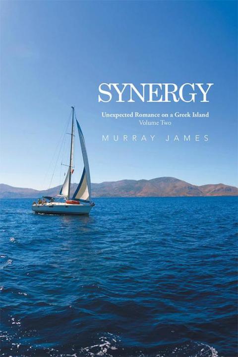 Cover image for book Synergy
