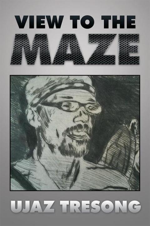 Cover image for book View to the Maze