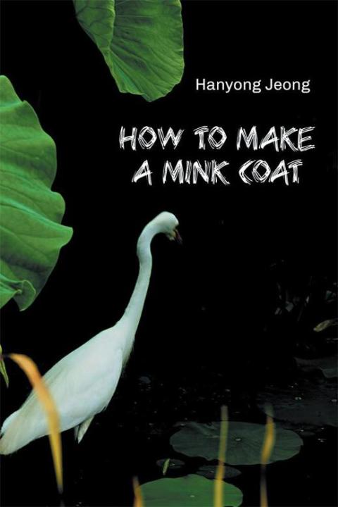 Cover image for book How to Make a Mink Coat