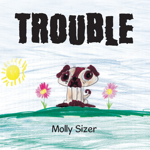 Cover image for book Trouble