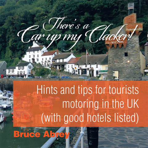 Cover image for book There's a Car up My Clacker!