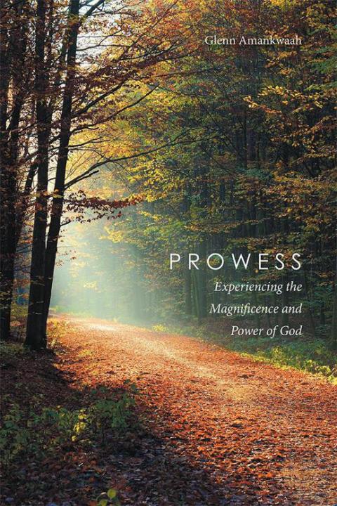 Cover image for book Prowess
