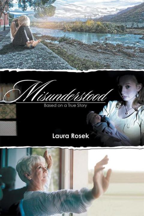 Cover image for book Misunderstood