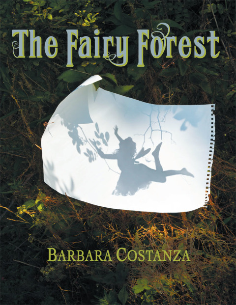 Cover image for book The Fairy Forest
