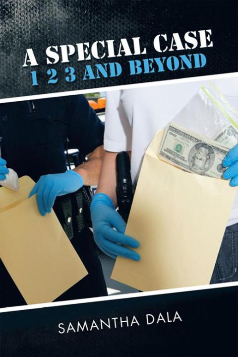 Cover image for book A Special Case   1   2    3  and Beyond