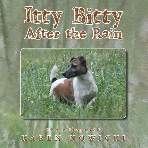 Cover image for book Itty Bitty After the Rain