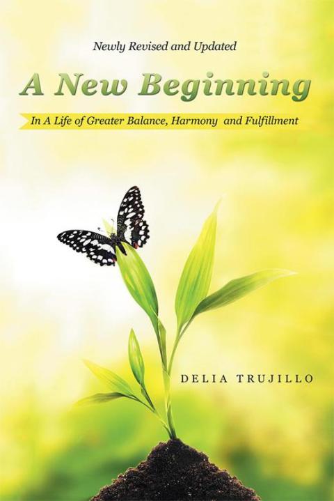 Cover image for book A New Beginning
