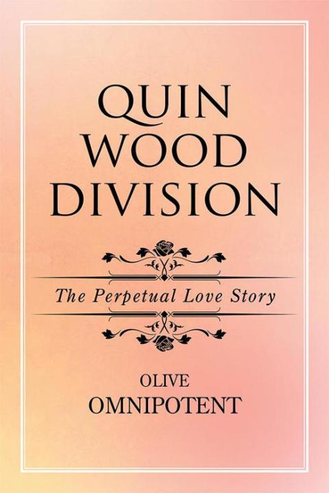 Cover image for book Quinwooddivision