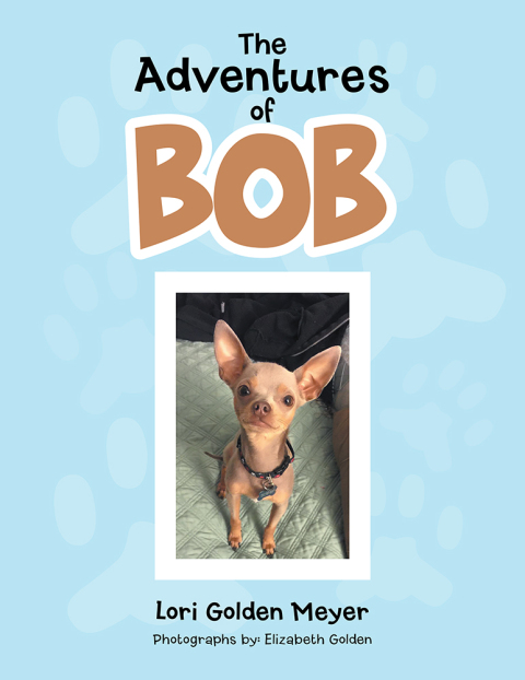 Cover image for book The Adventures of Bob