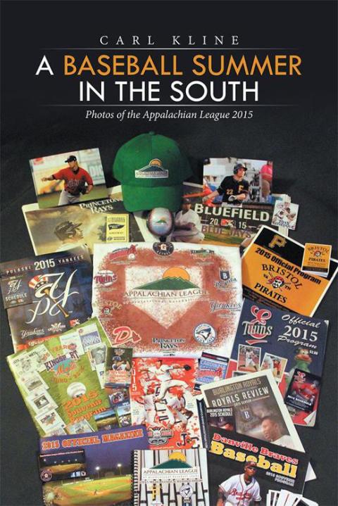 Cover image for book A Baseball Summer in the South