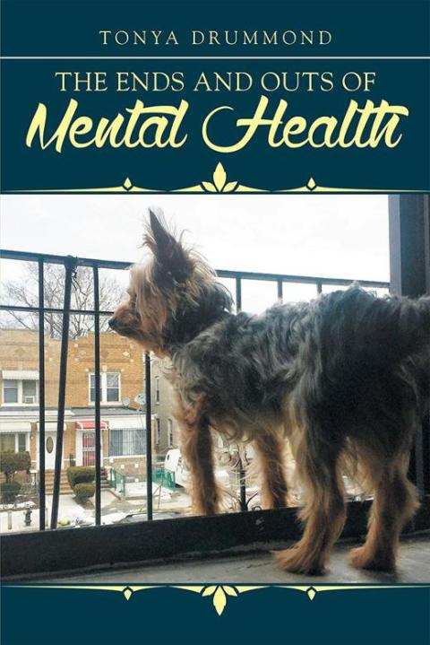 Cover image for book The Ends and Outs of Mental Health