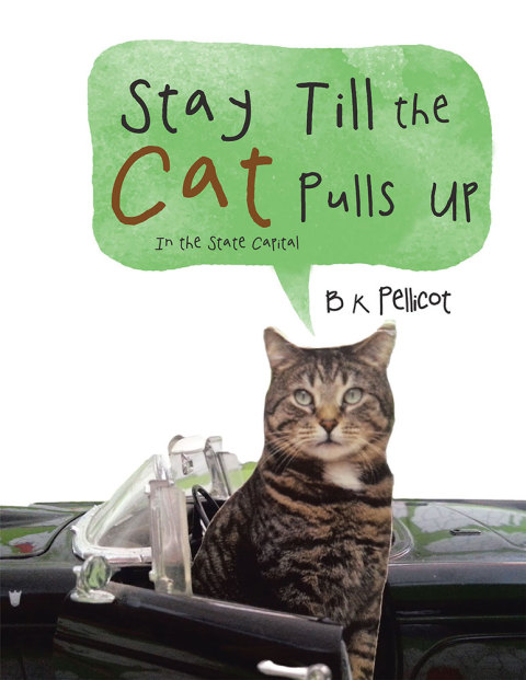 Cover image for book Stay Till the Cat Pulls Up