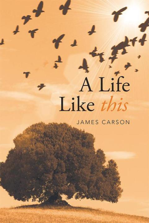 Cover image for book A Life Like This