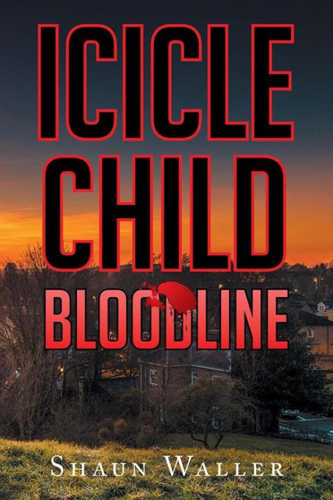 Cover image for book Icicle Child