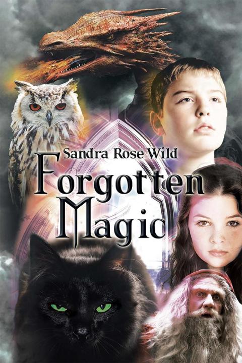 Cover image for book Forgotten Magic