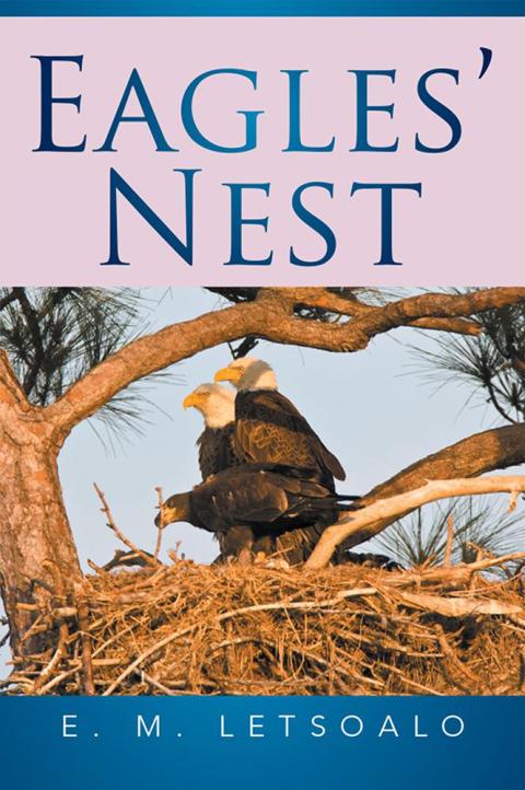 Cover image for book Eagles' Nest