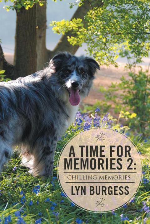 Cover image for book A Time for Memories 2: Chilling Memories