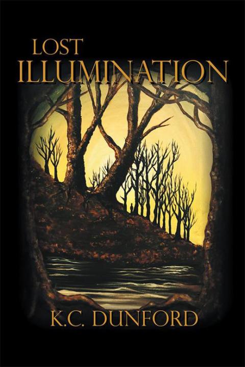 Cover image for book Lost Illumination
