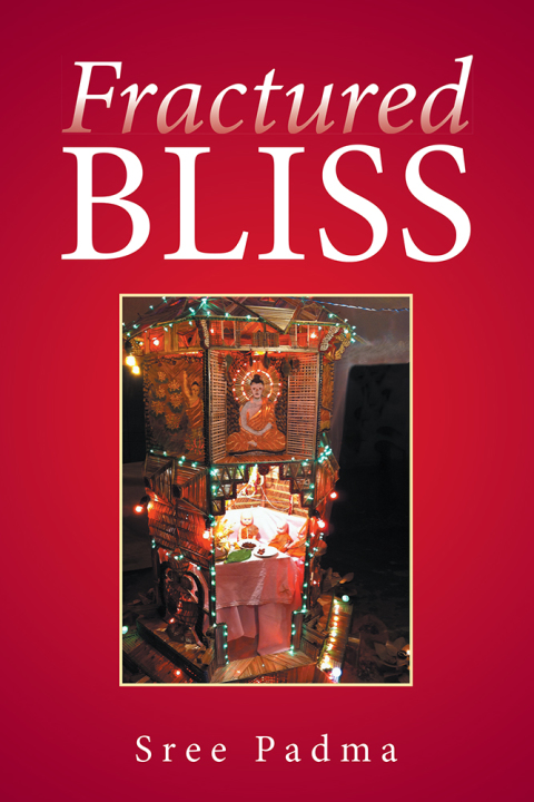 Cover image for book Fractured Bliss