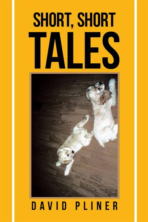 Cover image for book Short, Short Tales