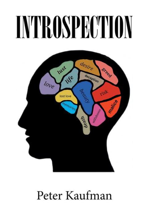 Cover image for book Introspection