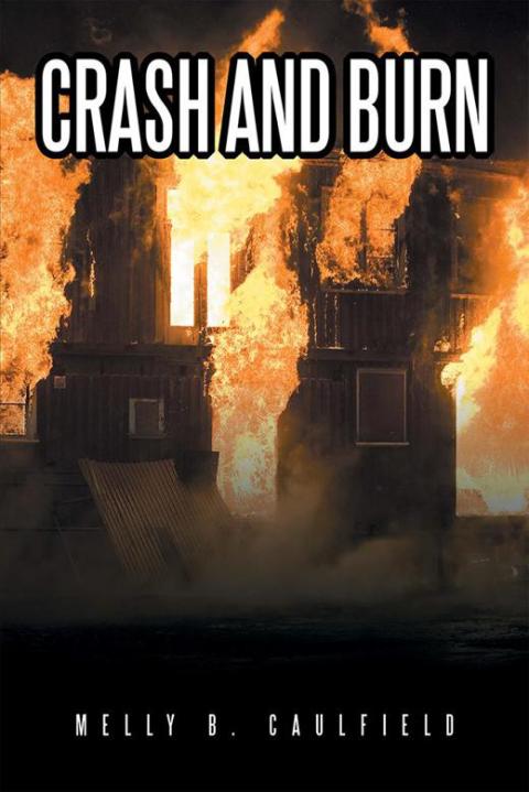 Cover image for book Crash and Burn