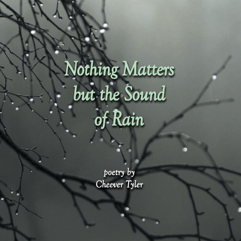 Cover image for book Nothing Matters but the Sound of Rain