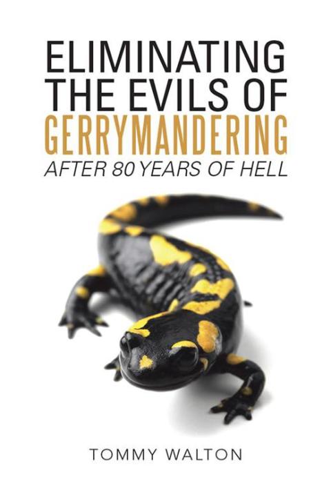 Cover image for book Eliminating the Evils of Gerrymandering After 80 Years of Hell