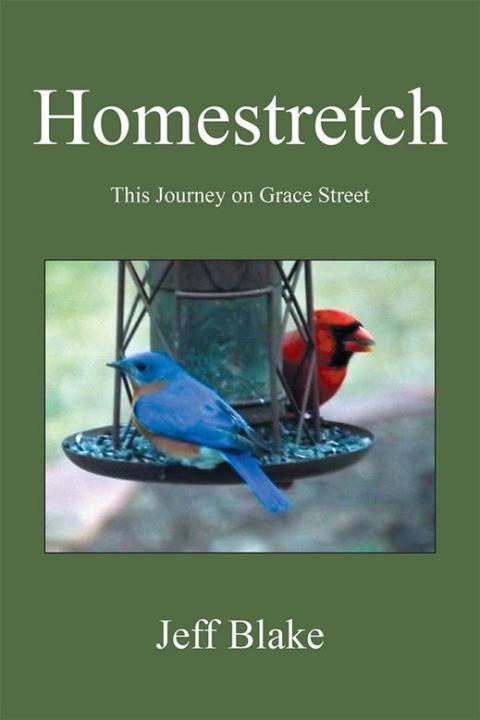 Cover image for book Homestretch