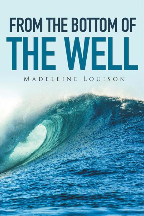 Cover image for book From the Bottom of the Well
