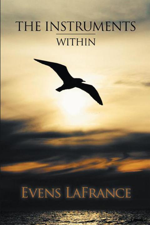 Cover image for book The Instruments Within