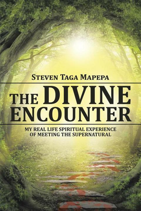 Cover image for book The Divine Encounter