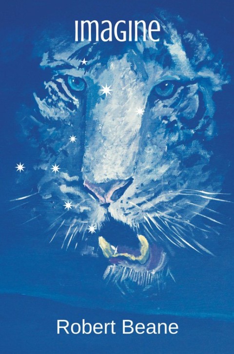 Cover image for book Imagine