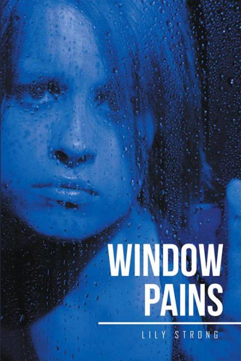 Cover image for book Window Pains