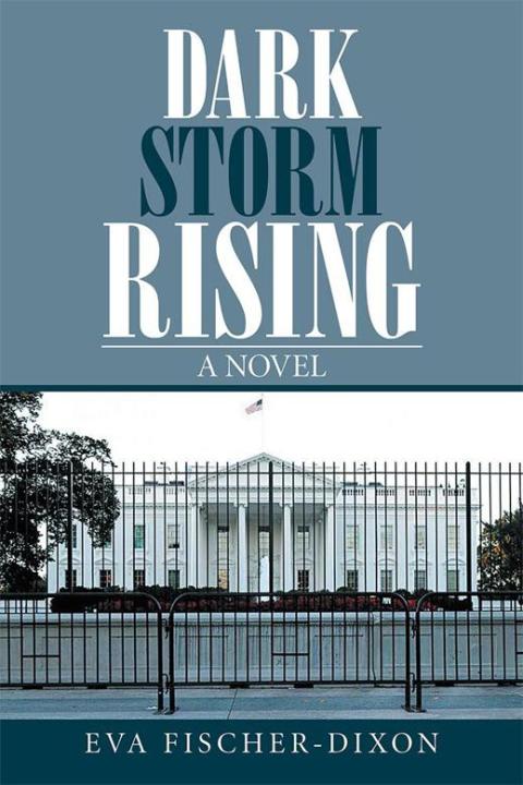 Cover image for book Dark Storm Rising