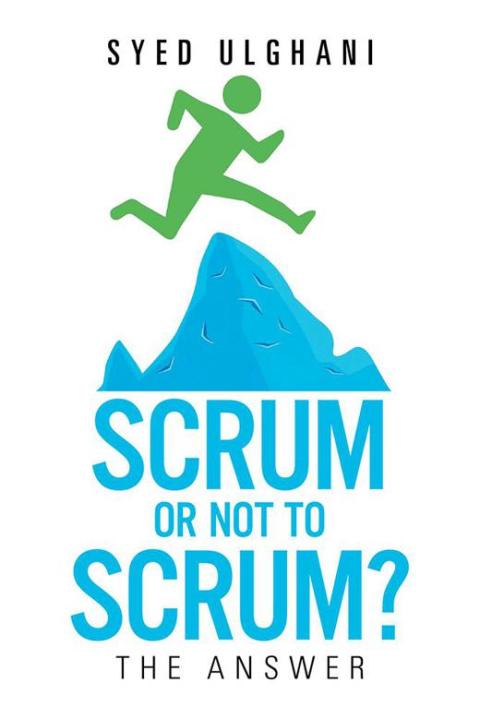Cover image for book Scrum or Not to Scrum?