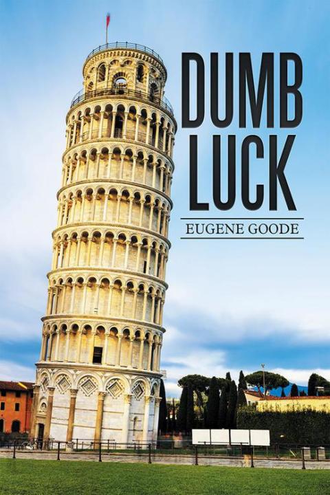 Cover image for book Dumb Luck