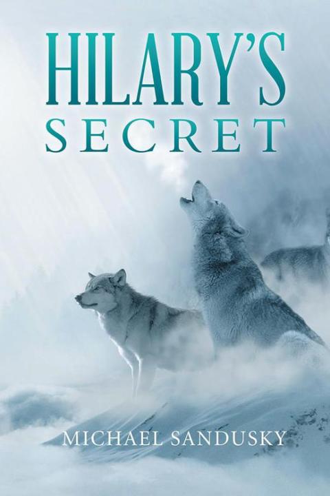 Cover image for book Hilary’S Secret