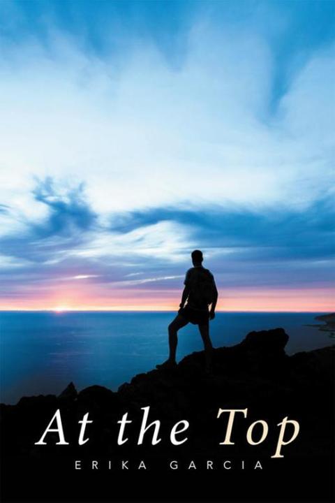 Cover image for book At the Top