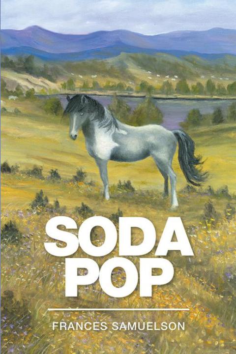 Cover image for book Soda Pop