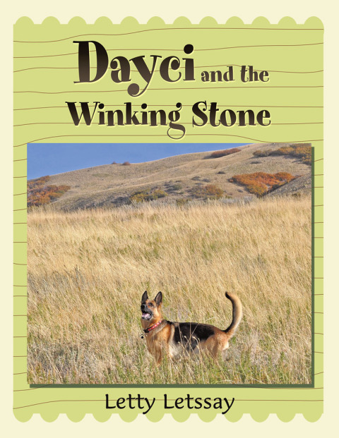 Cover image for book Dayci and the Winking Stone
