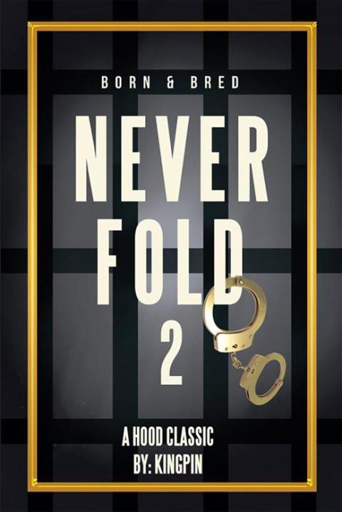 Cover image for book Never Fold 2
