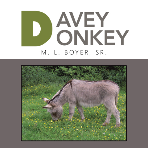 Cover image for book Davey Donkey