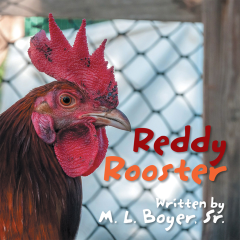 Cover image for book Reddy Rooster