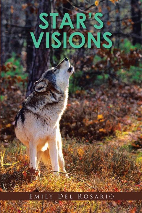 Cover image for book Star's Visions
