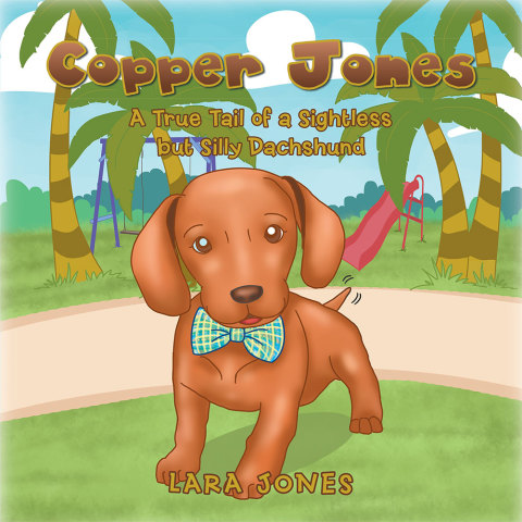 Cover image for book Copper Jones