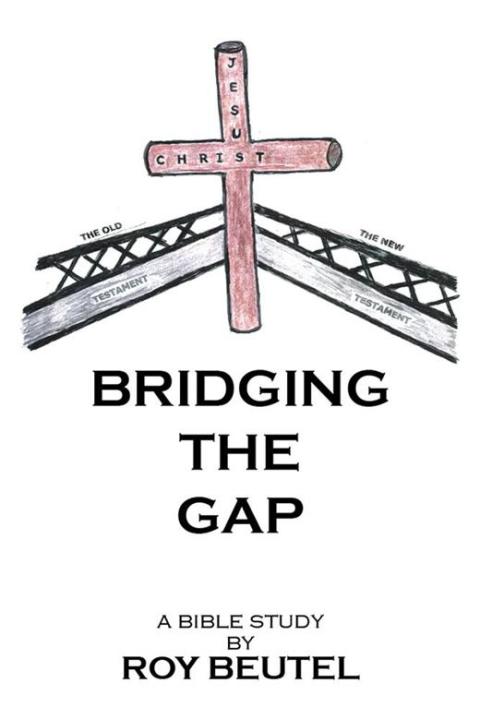Cover image for book Bridging the Gap