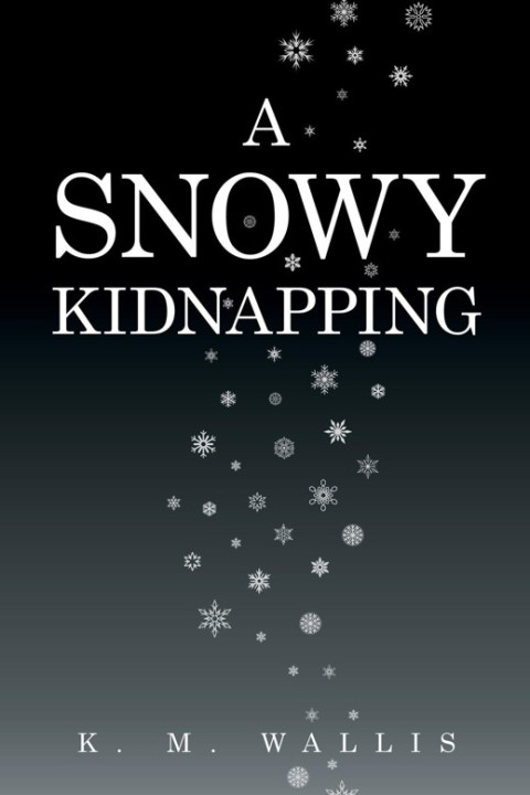 Cover image for book A Snowy Kidnapping